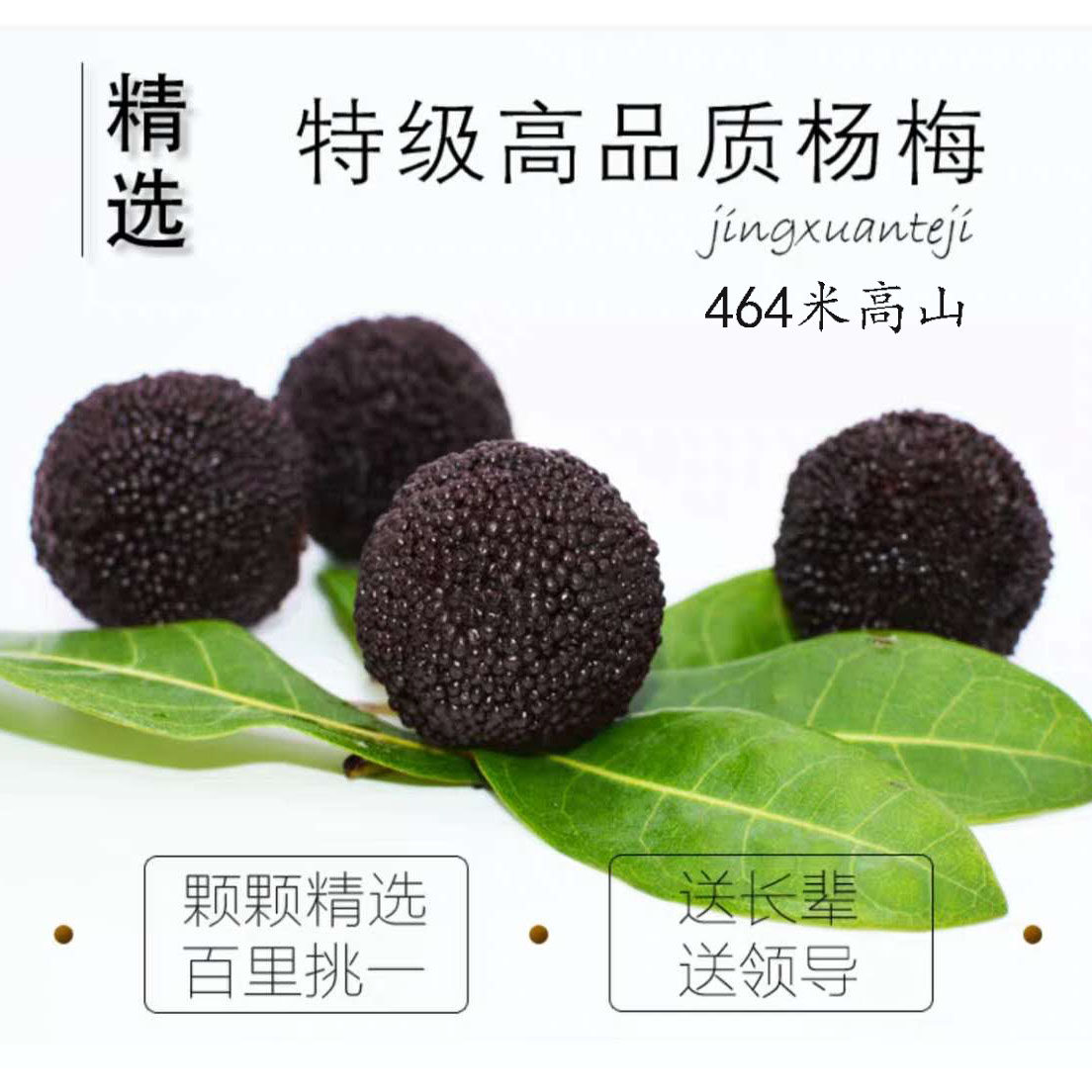 慈溪高山精选新鲜杨梅荸荠种现摘现发孕妇水果4斤非东魁杨梅