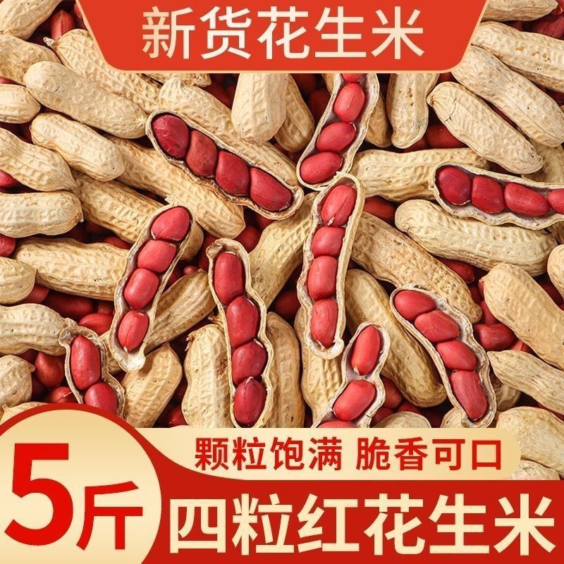 东北带壳红皮花生果2025新货农家新货新鲜生的四粒红花生晒干原味