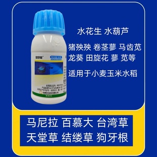京博定好收氯氟吡氧乙酸阔叶草水花生水葫芦小麦玉米草坪除草剂