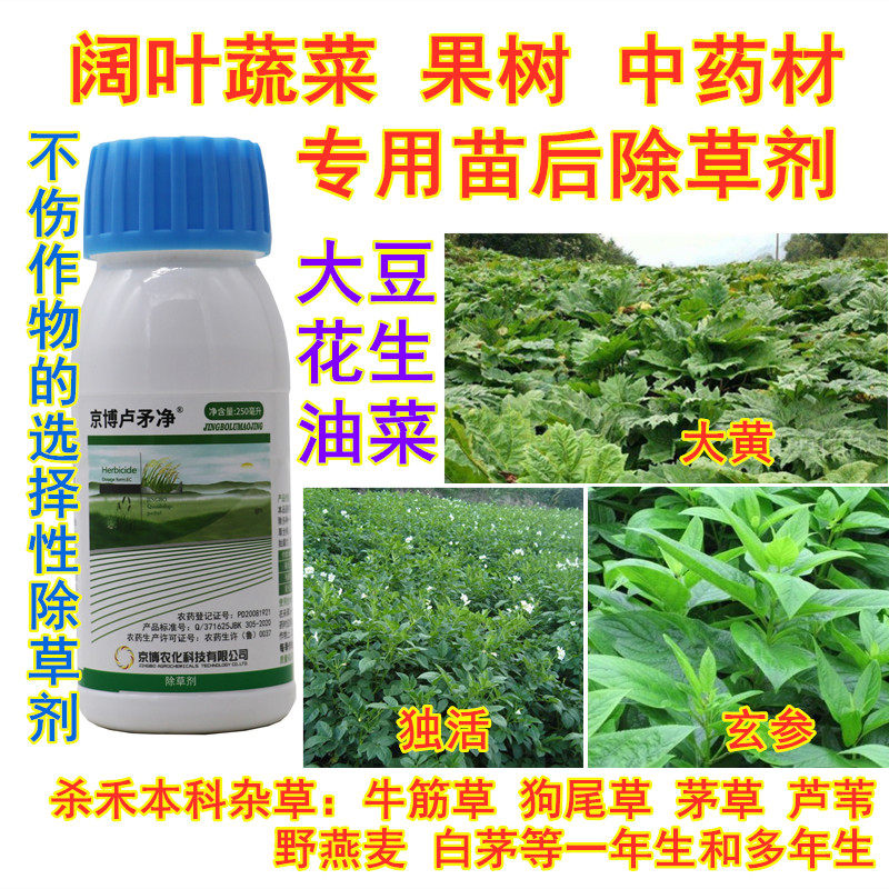 大黄玄参独活除草剂药材蔬菜果树杀尖叶草牛筋草芦苇精喹禾灵杀草
