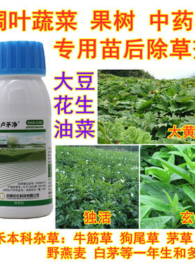 大黄独活药材果树精喹禾灵除草剂