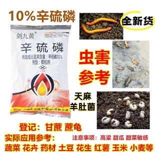 10%辛硫磷颗粒杀虫剂药材羊肚菌地下害虫蛴螬地老虎蝼蛄地中狼