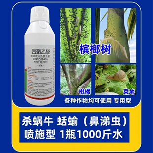四聚乙醛液体药专杀蜗牛蛞蝓鼻涕虫槟榔树菜地瓜果蔬菜杀钉螺农药