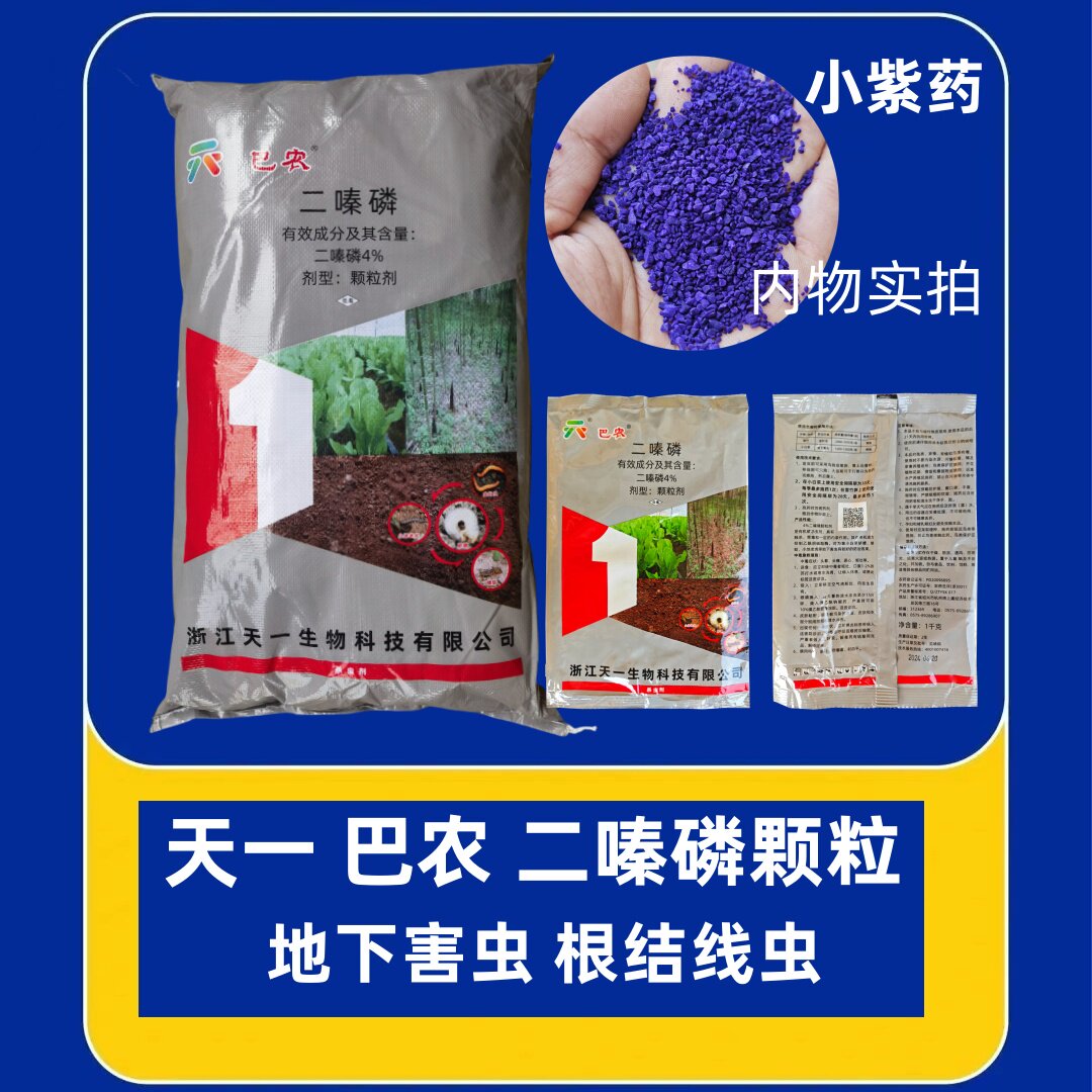 多肉花卉绿植苗木杀蚜虫蚧壳虫金针虫地老虎小紫药二嗪磷送噻虫嗪