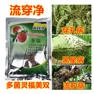 桃树穿孔病流胶病梨树黑星病苗床土壤杀菌消毒剂多菌灵福美双农药
