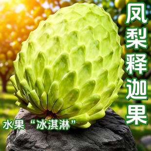 现摘当季水果新鲜释迦果佛头果整箱礼盒装应季正宗凤梨牛奶番荔枝