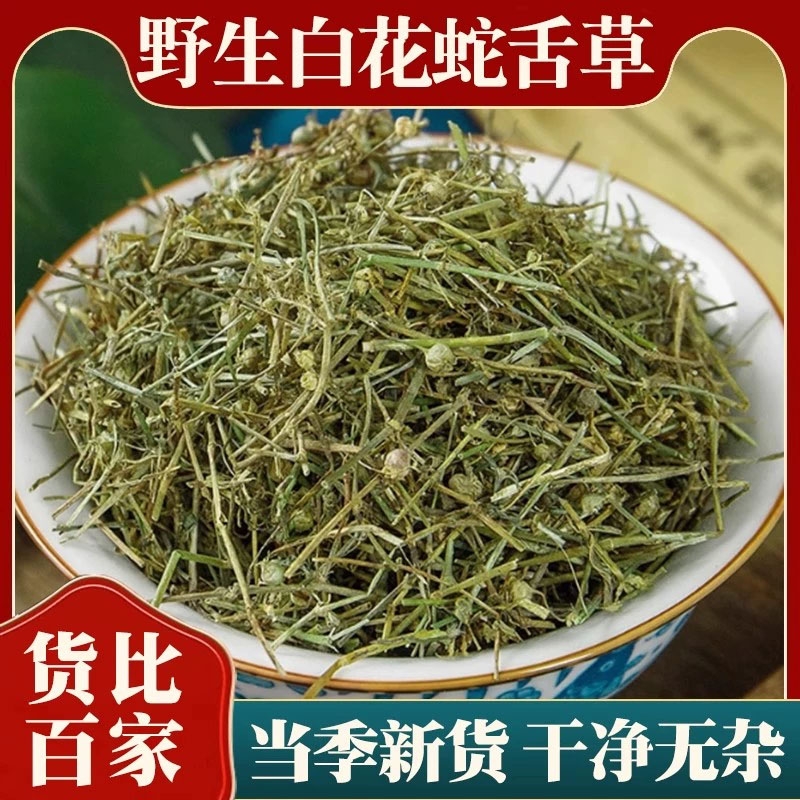 白花蛇舌草和半枝莲精选中药材泡水搭配半枝莲清热解毒功效与作用