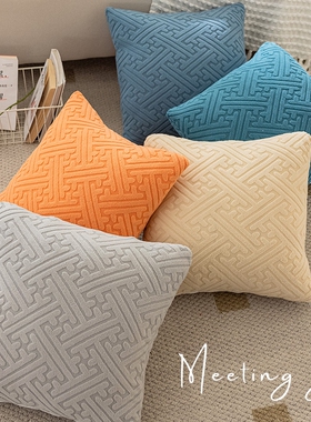 沙发抱枕客厅靠垫毛绒护腰靠枕床头靠背垫抱枕套不含芯方形可拆洗