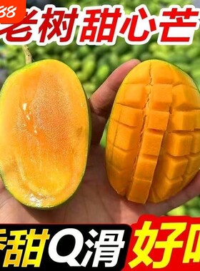 金煌芒应季当季新鲜热带水果孕妇可食果肉细腻香甜多汁青皮芒果