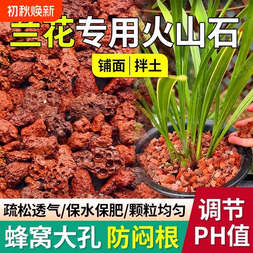 兰花专用火山石养花盆栽铺面鱼缸造景底部砂颗粒石头蝴蝶兰多肉