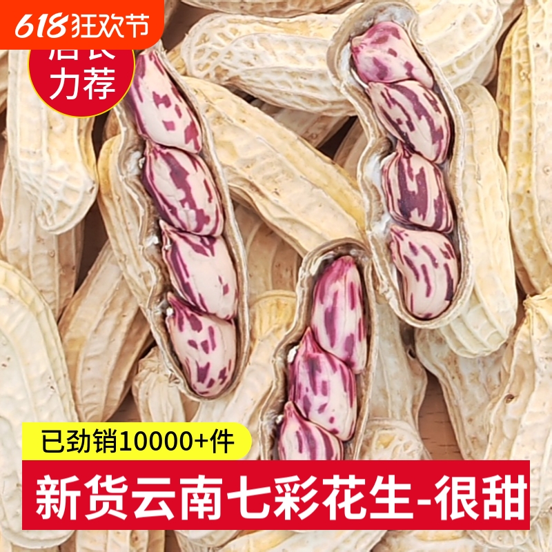 2025新货七彩花生晒干带壳云南水煮咸干白晒五彩花生米花生种子
