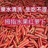陕西小红萝卜新鲜农家老品种沙地脆甜水果胡萝卜生吃榨汁辅食蔬菜