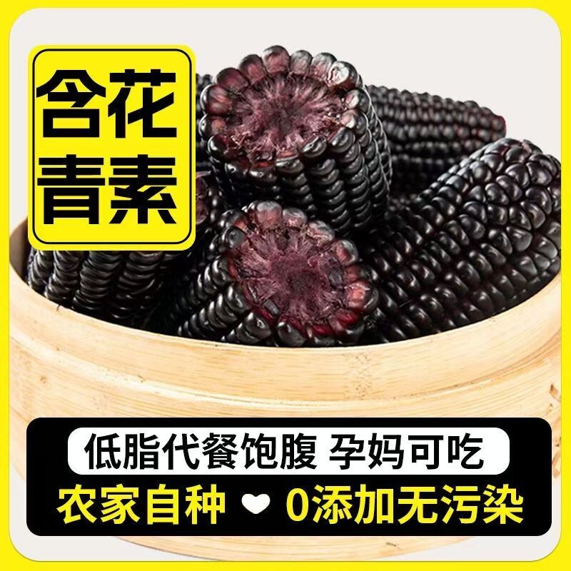 山西特产黑糯玉米新鲜早餐开袋粗粮甜黏真空袋装低脂代餐饱腹软糯