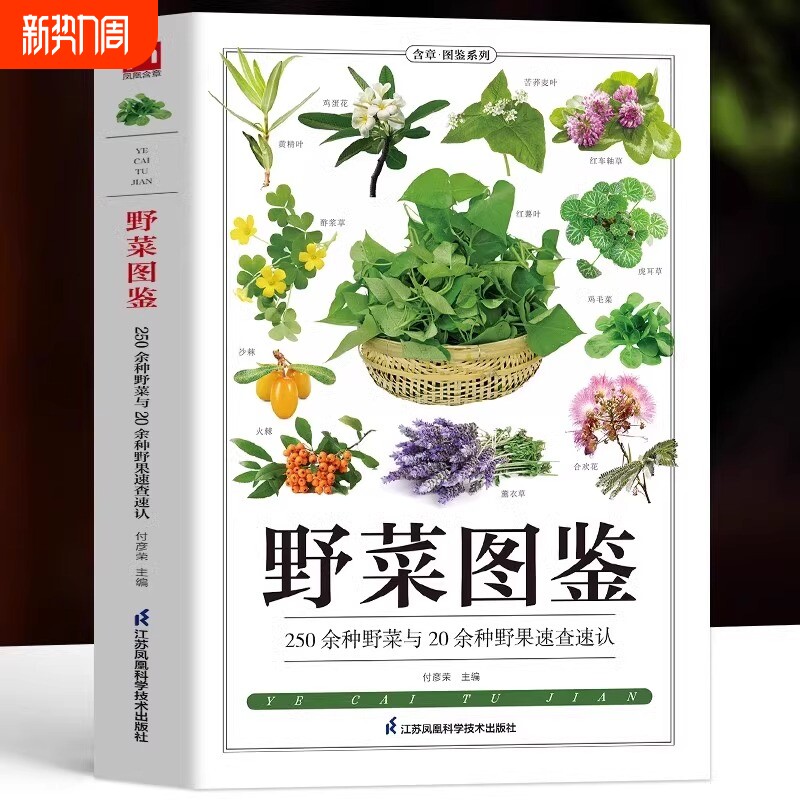 野菜图鉴250种与20余种野果速查速认大全书野外认采中草药野生植