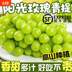 阳光玫瑰葡萄新鲜水果5斤葡萄无籽香印提子青提整箱顺丰速发
