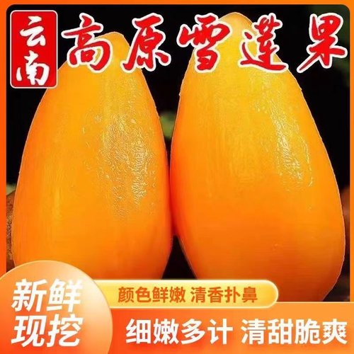 云南天山雪莲果细嫩多汁清甜脆爽新鲜水果爆汁甘甜产地直发