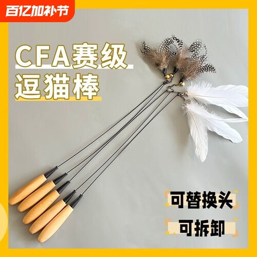 CFA赛级逗猫棒羽毛小猫自