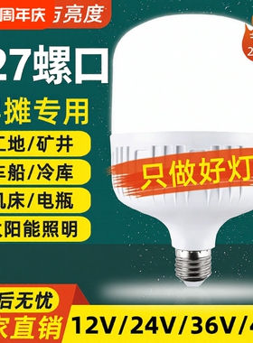 led低压灯12V24V36V48V60V交流直流节能灯E27螺口电瓶太阳能灯泡