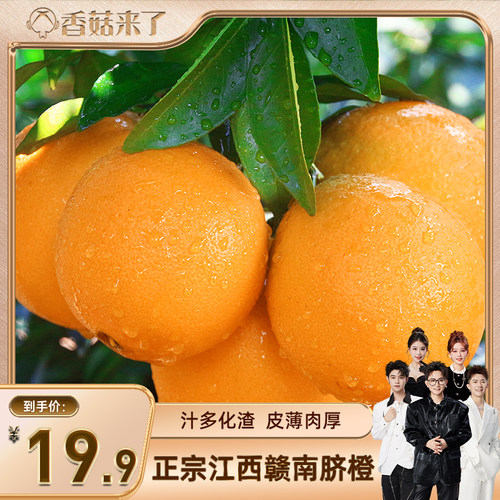 【香菇来了】正宗江西赣南脐橙4.5斤装80-90mm新鲜水果甜橙子整箱