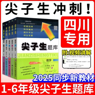 四川！尖子生题库二三年级四五年级六一年级上下册数学语文北师大西师版一课一练练习册题课时作业本思维训练口算计算专项阅读正版