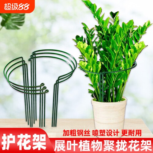 铁艺花架植物支撑半圆聚拢护叶架