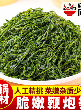 鞭炮笋海草盐渍马尾藻长寿菜羊栖菜海带火锅食材凉拌凉菜海藻泡菜