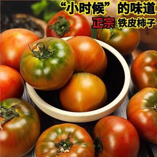 丹东盐碱地铁皮柿子草莓柿子绿腚碱地油柿子铁皮西红柿水果番茄