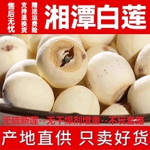 野生大粒特级湘莲带芯莲子干货500g无硫食用白莲特产湘潭磨皮带心