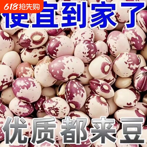 雀蛋豆新货贵州特产大贵州花生豆豆类批发奶花豆杂粮新豆子新鲜