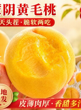 山东蒙阴黄桃黄金桃新鲜水果软硬水蜜桃毛桃子锦绣黄桃现摘沂蒙山