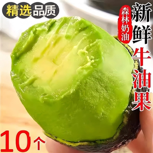 云南哈斯牛油果国产孟连奶油果鳄梨巨无霸当季即食新鲜水果整箱