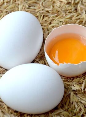 新鲜白皮鸡蛋农家散养白羽鸡蛋白壳蛋现捡现散养优质白鸡蛋整箱