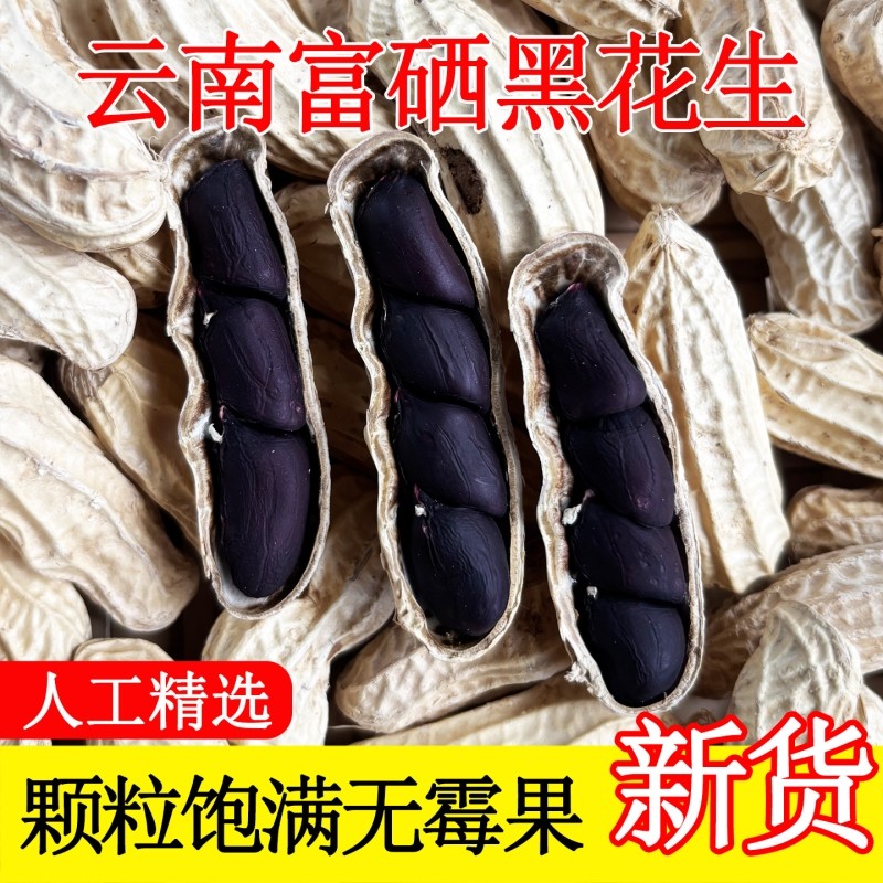 富硒黑花生带壳2025新货云南普洱特产晒干生熟黑皮花生米大粒炒货