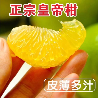 广西皇帝柑桔子水果新鲜当季整箱3斤5斤薄皮橘子蜜桔贡柑橘