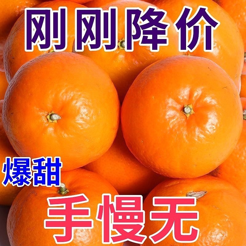 云南高山纯甜沃柑1000g±100g/份新鲜当季水果橘子蜜桔砂糖 水产肉类/新鲜蔬果/熟食 桔子 原图主图