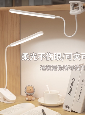 户外照明led应急夹子护眼专用宿舍2026新款充电长条台灯