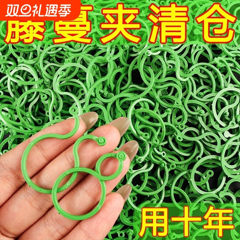 多功能新款植物蔬菜固定卡夹茄子绿植茎秆园林卡扣园艺8字扣藤蔓