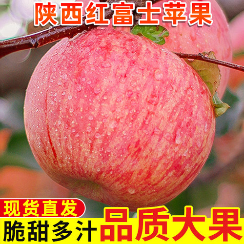 正宗陕西红富士苹果新鲜水果应当季脆甜冰糖心批发整箱平果包邮