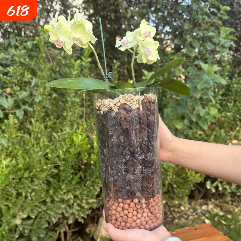 蝴蝶兰湿养杯花盆亚克力花瓶透明水培盆精致桌面养花园艺圆形阳台