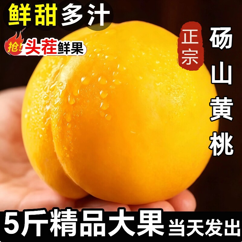 砀山黄桃新鲜蜜桃9斤当季现摘软甜黄肉毛桃子时令水果整箱鲜果