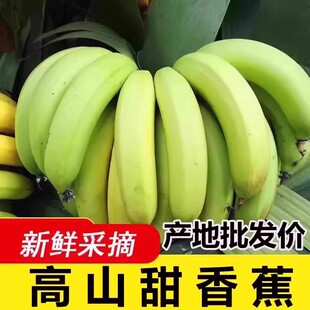 云南高山甜香蕉水果应季带箱9-10斤青蕉发货甜蕉青皮蕉现摘5斤批