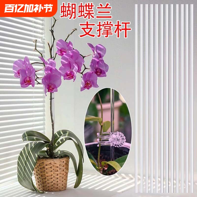 透明蝴蝶兰支架大固定架花卉专用夹子兰花爬藤植物亚克力隐形园艺