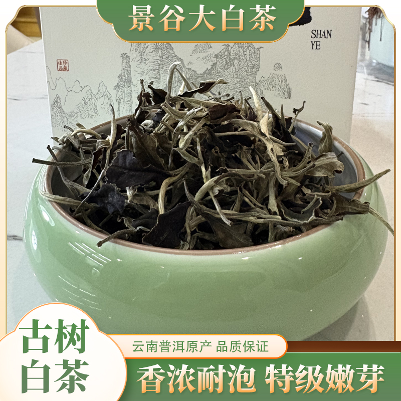 普洱白茶 景谷茶山有机大白茶月光白 云南景谷有机大叶种白茶260g