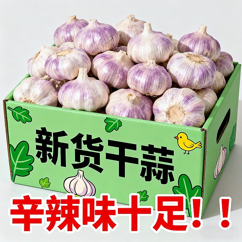 2025年新干蒜紫皮干蒜大蒜头批发新鲜金乡紫白皮大瓣蒜散装腌制,水产肉类/新鲜蔬果/熟食,大蒜,淘宝优惠券,粉丝福利购,淘宝优惠卷