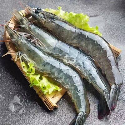 新鲜盐冻青岛大虾鲜活速冻白对虾非青虾冷冻海虾海鲜水产品可商用