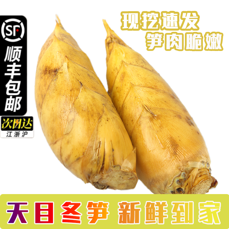 顺丰包邮临安冬笋新鲜现挖带壳冬笋两头尖黄泥楠竹笋小脚竹笋春笋
