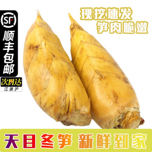 顺丰包邮临安冬笋新鲜现挖带壳冬笋两头尖黄泥楠竹笋小脚竹笋春笋