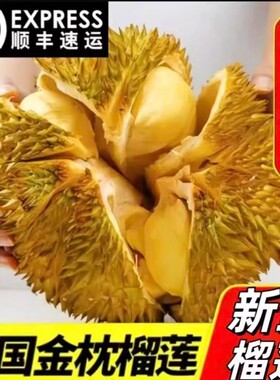 泰国金枕榴莲鲜果自然成熟