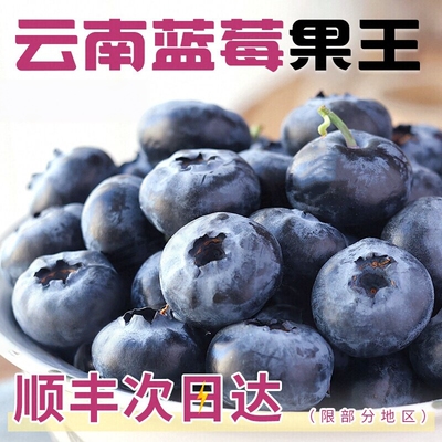 当季新鲜云南高山蓝莓鲜果正宗花香蓝莓果王现摘水果现货包邮