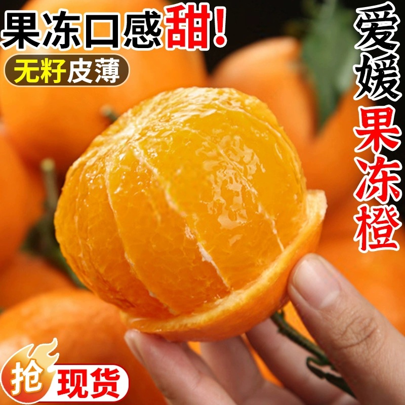 四川眉山爱媛38号果冻橙新鲜水果